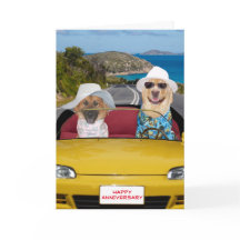 Verjaardag van lieve honden