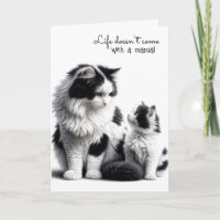 Verjaardag van moeder kat en kitten