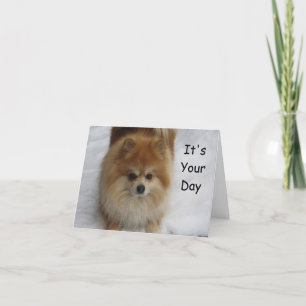 VERJAARDAG VAN POMMEREN GROETEN KAART