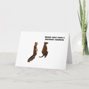 Verjaardag verrassing van de Meerkats, kaart