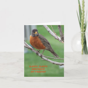 Verjaardag Vriend, Robin & Cake Kaart