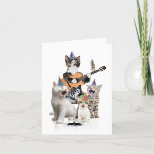 Verjaardag Wenskaart - Dierenbands - Cats Feestdagen Kaart