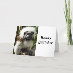 Verjaardag wenskaart, met schattig aapje kaart