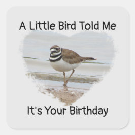 Verjaardag wenst kleine vogel humoristische envelo vierkante sticker