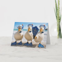 Verjaardag Witte Eenden met Snorkelapparatuur