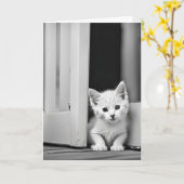 Verjaardag witte kitten in deuropening kaart (Gele Bloem)