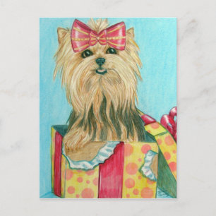 Verjaardag Yorkie Briefkaart
