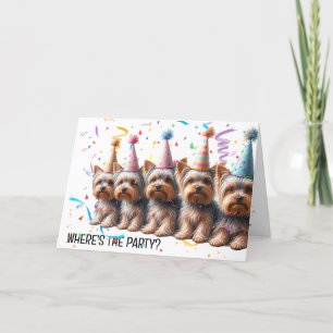Verjaardag Yorkshire Terriers in Party Petten Kaart