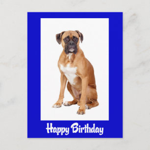 Verjaardags Boxer Puppy Blauwe Hond Ansichtkaart Briefkaart