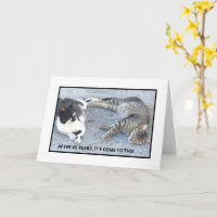 VERJAARDAGS CONTENTMENT/TWEE SLAPENDE KATTEN/ HUMO