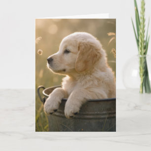 Verjaardags Goud Retriever Puppy in een Emmer Kaart