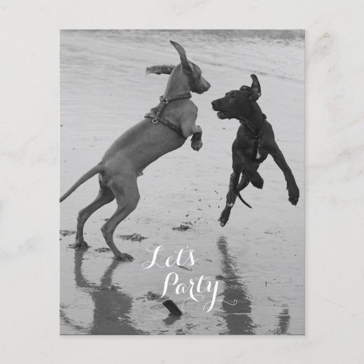 Verjaardags Honden Flyer (Voorkant)