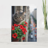 Verjaardags Tabby Kat In Appartement Raam Kaart (Voorkant)