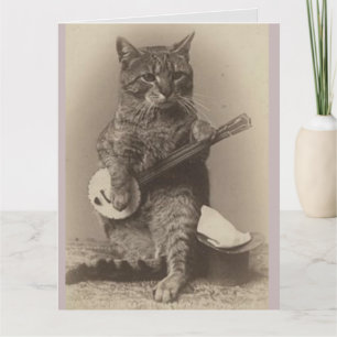 VERJAARDAGSCARD MET KAT DIE BANJO SPEELT BEDANKKAART