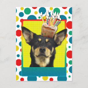 Verjaardagscupcake - Australische Kelpie - Jude Briefkaart