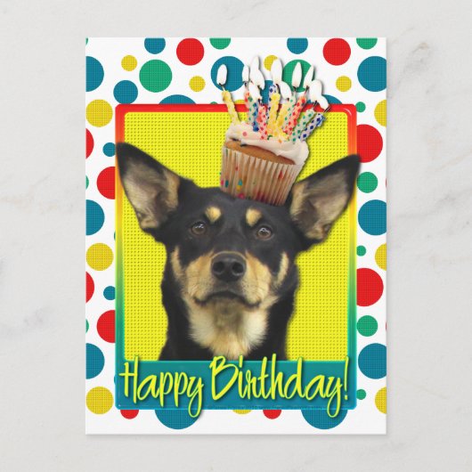 Verjaardagscupcake - Australische Kelpie - Jude Briefkaart (Voorkant)