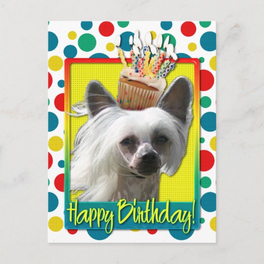 Verjaardagscupcake - Chinese Crested - Kahlo Briefkaart (Voorkant)
