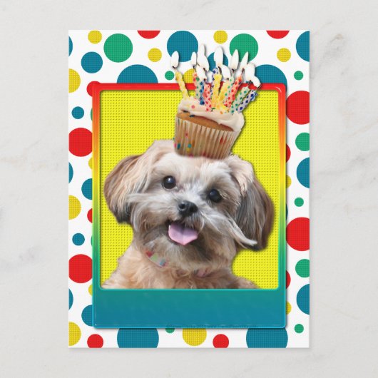 Verjaardagscupcake - ShihPoo - Maggie Briefkaart (Voorkant)
