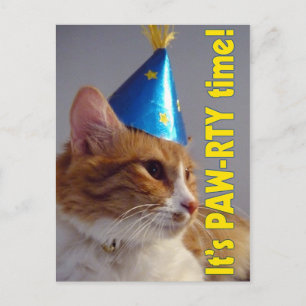 Verjaardagsfeest Uitnodiging PAW-RTY Cat Briefkaar Briefkaart