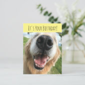 Verjaardagsfeest voor gelukkige gouden retriever h briefkaart (Staand voorkant)