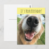Verjaardagsfeest voor gelukkige gouden retriever h briefkaart (Voorkant / Achterkant)