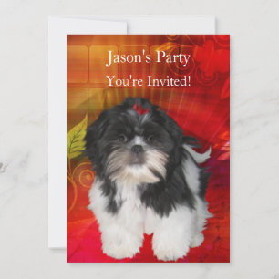 Verjaardagsfeestje Shih Tzu op Abstract Rood Kaart