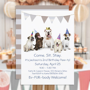 Verjaardagsfeestje voor jongetje puppy kaart