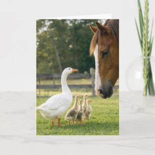 Verjaardagsgans met ganzenkuikens en paard kaart