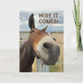 Verjaardagsglimlach Funny Mule Dier Kaart Echte or (Voorkant)