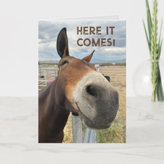 Verjaardagsglimlach Funny Mule Dier Kaart Echte or (Voorkant)