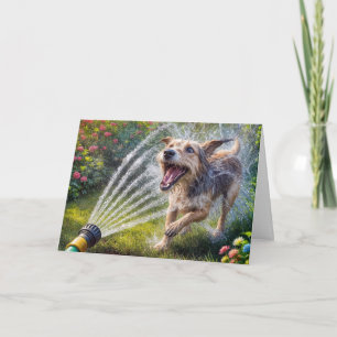 Verjaardagshond in waterspray van slang kaart