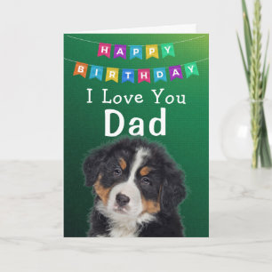 Verjaardagskaart Beste Papa Ooit Bedankkaart