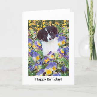 Verjaardagskaart - Border Collie Pup and Flowers Kaart