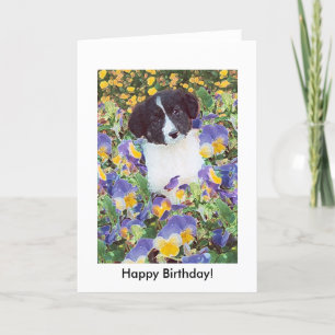 verjaardagskaart - Border Collie Pup en Flowers Kaart