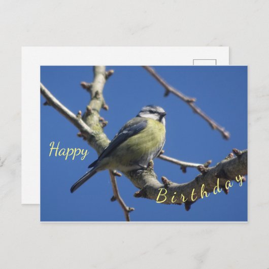 Verjaardagskaart Kleine Vogel met Blauwe Lucht Briefkaart (Voorkant / Achterkant)