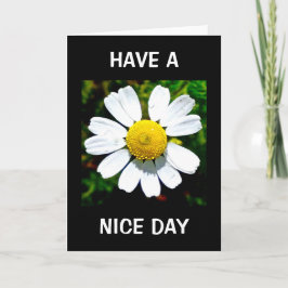 Verjaardagskaart met de tekst 'Prettige Dag' Kaart