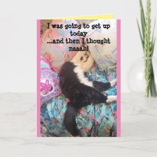 Verjaardagskaart met grappige slapende katten en e kaart