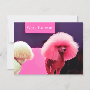 Verjaardagskaart met Mooie Roze Poodle op de Catwa Briefkaart