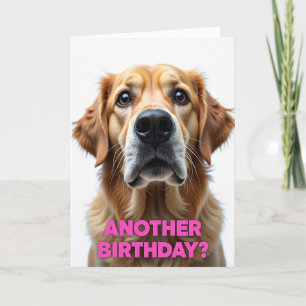 Verjaardagskaart met portret van hond kaart