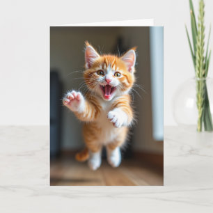 Verjaardagskaart met speelse kat kaart