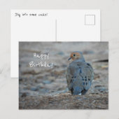 Verjaardagskaart met treurduif briefkaart (Voorkant / Achterkant)