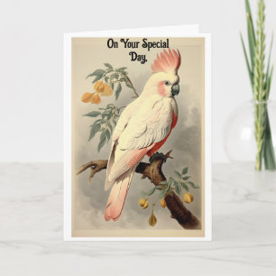 Verjaardagskaart met vintage tropische vogel kaart