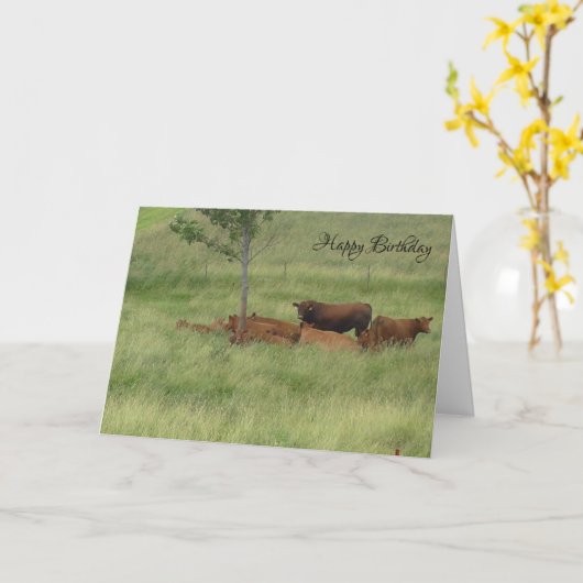 Verjaardagskaart met vredige dag koeien in het vel kaart (Gele Bloem)