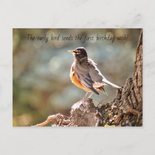 Verjaardagskaart met vroege vogel wensen briefkaart