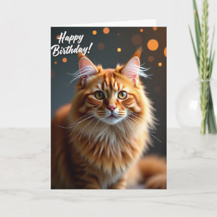 Verjaardagskaart Oranje Kat Kaart