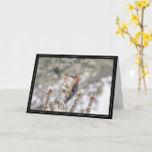 Verjaardagskaart Roodbuikige Specht Kaart (Gele Bloem)