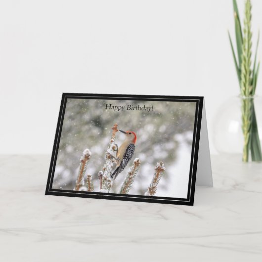 Verjaardagskaart Roodbuikige Specht Kaart (Voorkant)