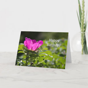 Verjaardagskaart Roze Papieren Roos Kaart