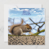 Verjaardagskaart Uitnodiging Eekhoorn "Wild One" E (Achterkant)