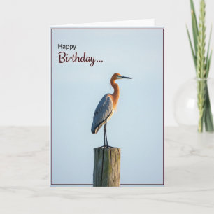 Verjaardagskaart van sierlijke waadvogel kaart